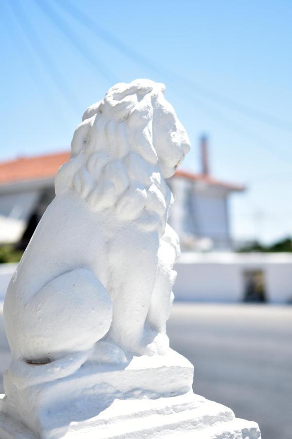Villa Lions House Pythagorio Exterior foto